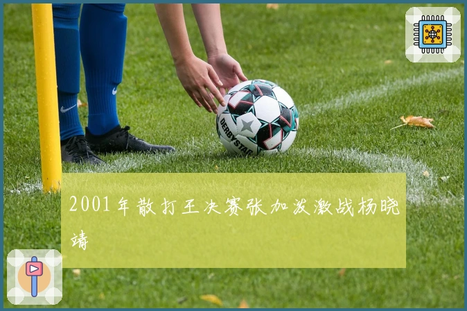 2001年散打王决赛张加泼激战杨晓靖