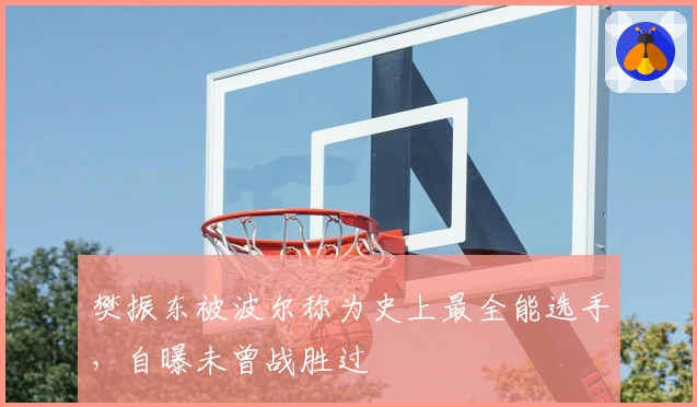 樊振东被波尔称为史上最全能选手,自曝未曾战胜过