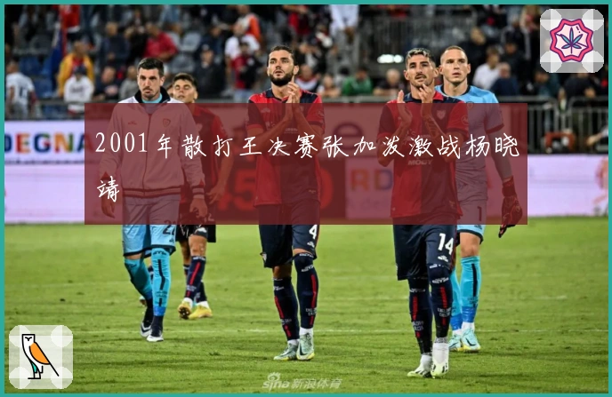 2001年散打王决赛张加泼激战杨晓靖