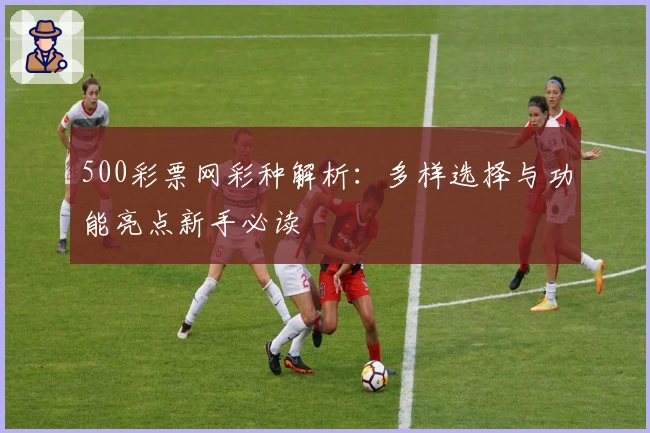 500彩票网彩种解析:多样选择与功能亮点新手必读